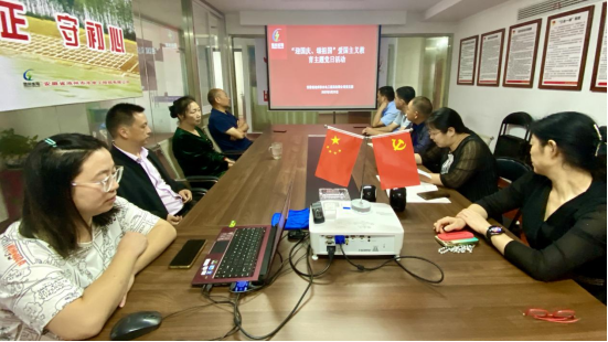 公司黨支部開展“迎國慶、頌祖國”愛國主義教育 主題黨日活動(dòng)(圖3)